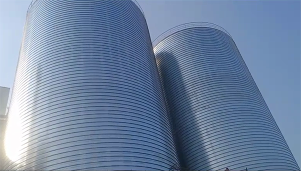 南沙2座混凝土高架卷板仓